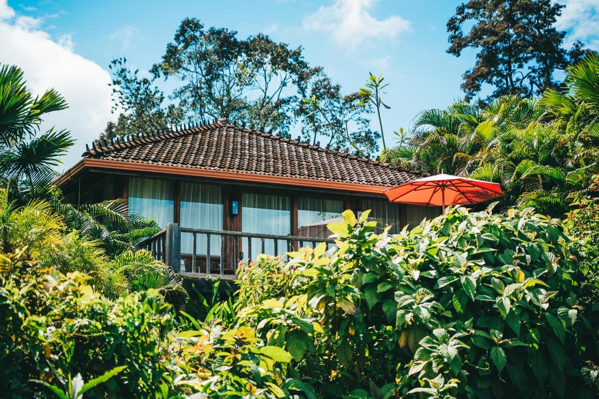Hotel La Coralina Island House Bocas del Toro Exterior foto
